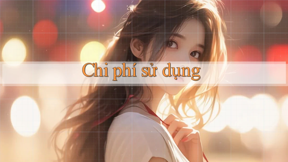 Chi phí sử dụng Chi phí sử dụng