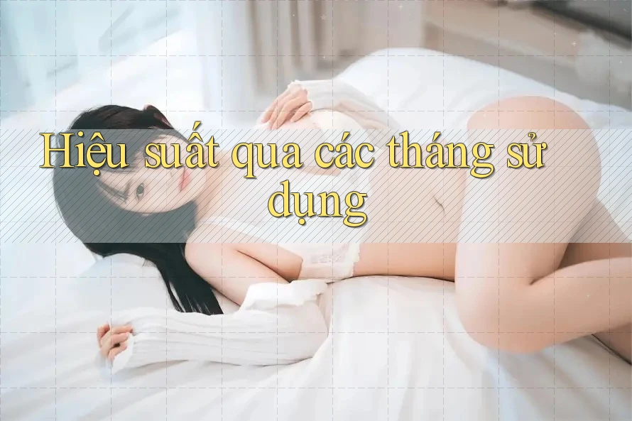 Hiệu suất qua các tháng sử dụng Hiệu suất qua các tháng sử dụng