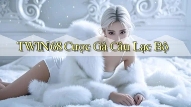 twin68  cược gà câu lạc bộ
