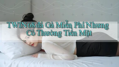 twin68  đá gà miễn phí nhưng có thưởng tiền mặt